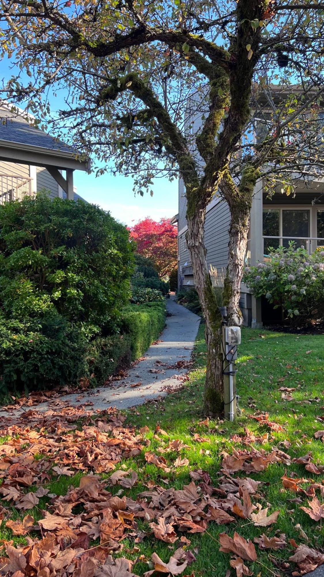 Shorewater Resort Qualicum Beach Luaran gambar
